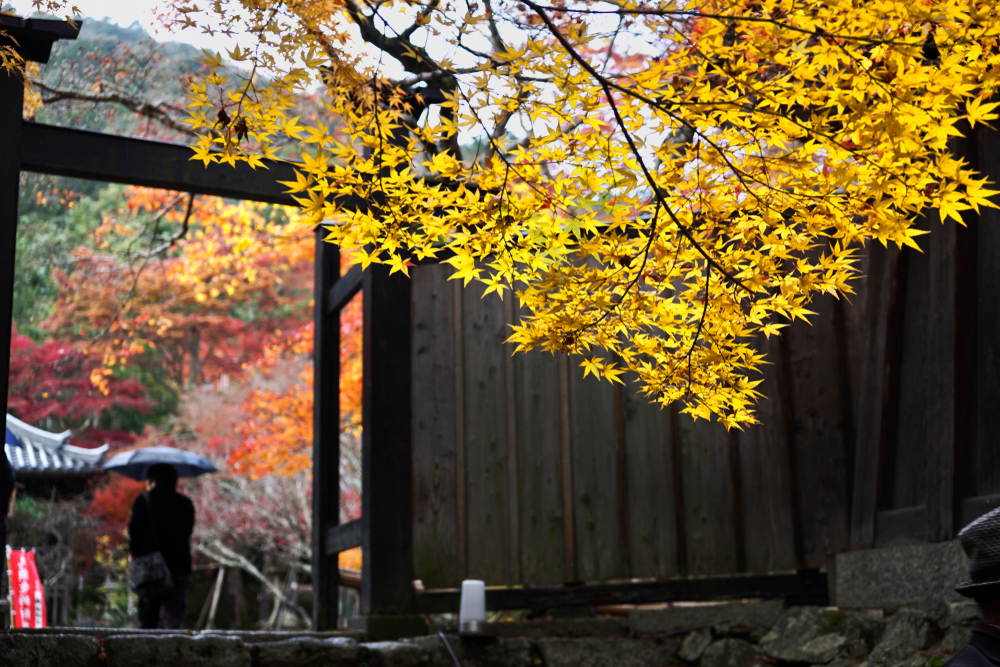 金運に強いといわれている神社は？