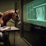 馬の心を読む：行動心理学が教える競馬予想術