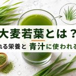 大麦若葉とは?含まれる栄養と青汁に使われる理由