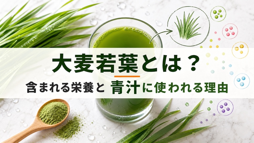 大麦若葉とは？含まれる栄養と青汁に使われる理由